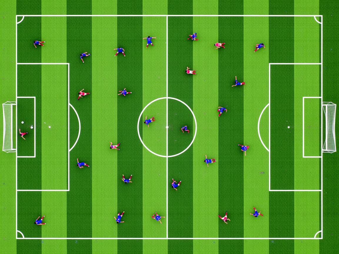 开云体育在线官网-东亚杯国足夺冠 球迷情绪达到顶点，东亚杯男足比赛时间  第3张